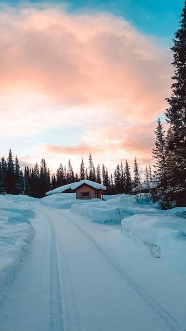Cozy Mountain Cottage With Beautiful Views & Sauna Beitostolen Exterior foto